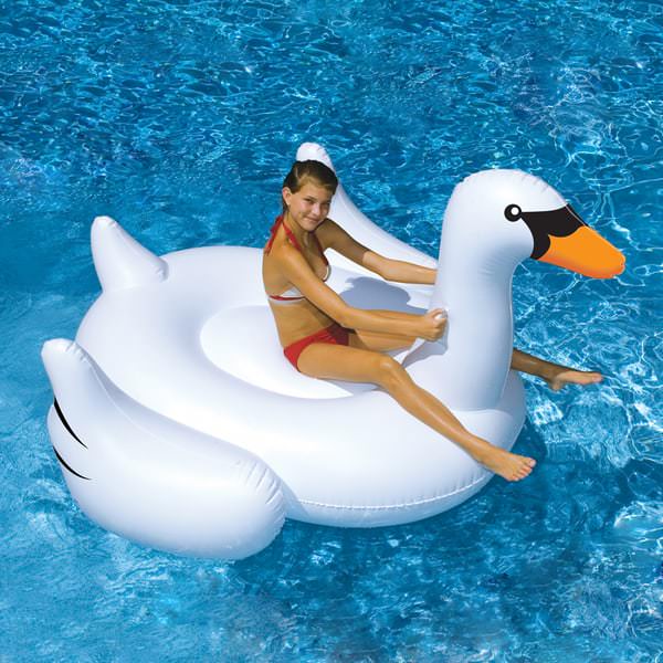 inflatable swan