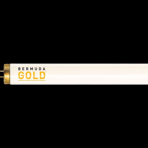 Bermuda Gold Premium FR71 Replacement Tanning Bulb
