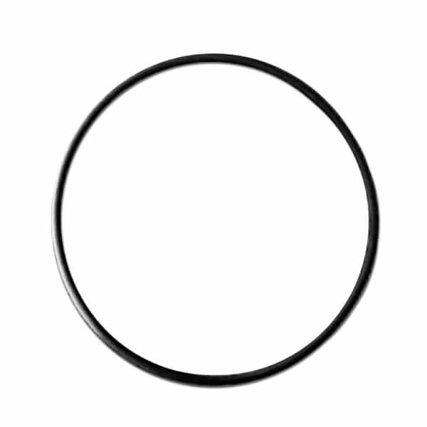 Hayward Strainer Lid ORing