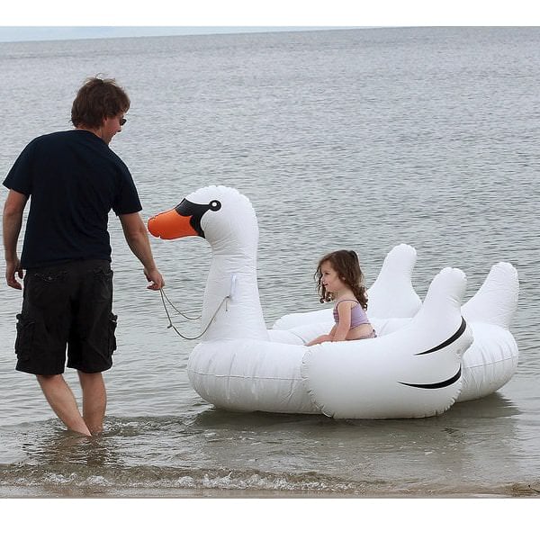 Giant Ride On Inflatable Swan