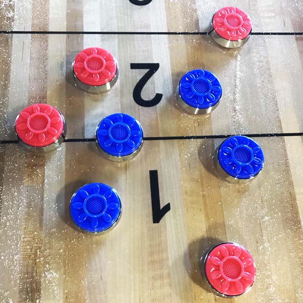 Large Official Shuffleboard Puck Set With Case