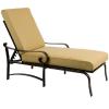Belden Cushion Chaise Lounge by Woodard