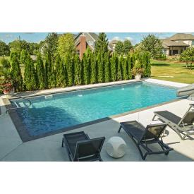 Inground Pools Family Leisure Roland Inground Pool Project Family Leisure Indianapolis