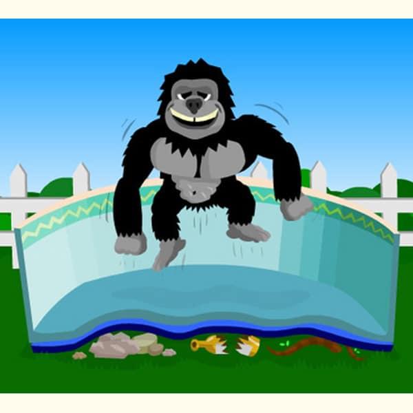 Gorilla Floor Padding Round Pools by Family Leisure