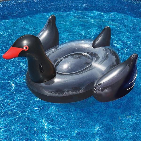 Black Swan Inflatable Pool Lounge