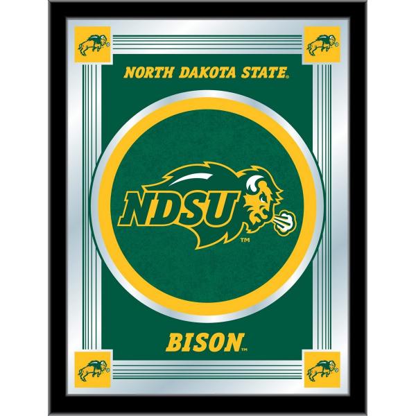 North Dakota State Logo Mirror 17x22 W Official College Logo Family Leisure